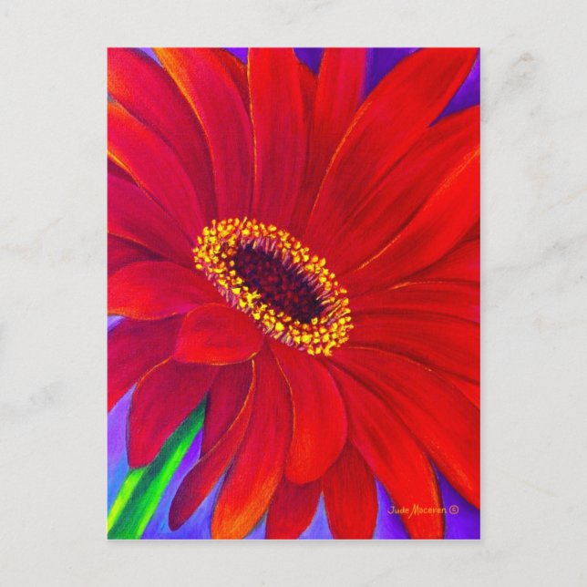 Cartão Postal Arte de Pintura de Flor Gerber Daisy Vermelha - Mu (Frente)