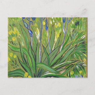 Cartão Postal Arte de Van Gogh Íris, reprodução acrílica