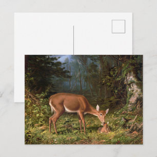 Cartão Postal Arte de Vida Selvagem de uma Corça e um Filhote de