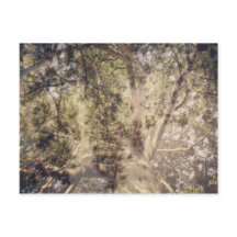 Arte Digital Camadas de Árvore