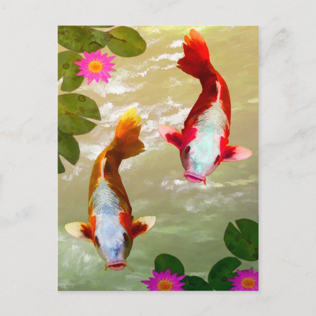 Cartão Postal Arte Digital da Carpa de Peixe-Koi Asiática (Frente)