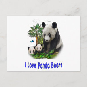 Cartão Postal Arte do amor panda