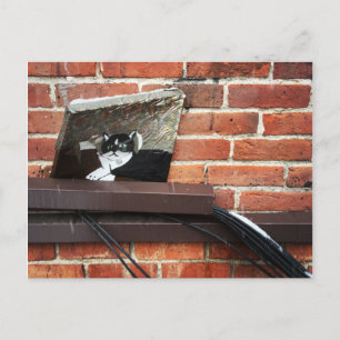 Cartão Postal arte do gato beco