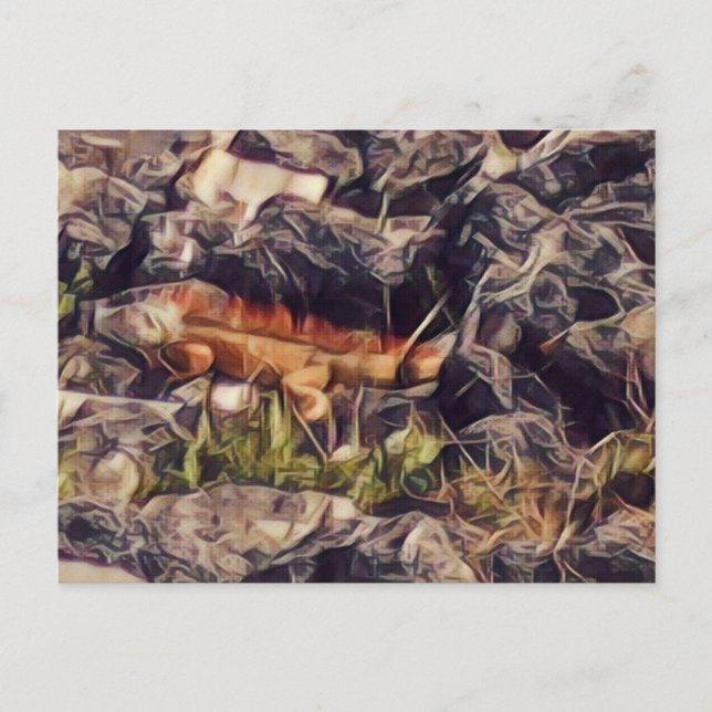Cartão Postal Arte do Guana Laranja (Frente)