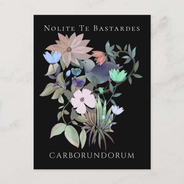 Cartão Postal Arte feminista Nolite Te Bastardes Carborundorum (Frente)