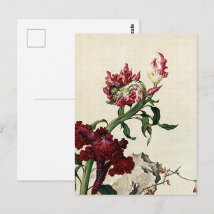 Cartão Postal Arte Flor de Crista de Galo Vermelha em Chinoiseri