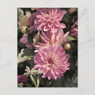 Cartão Postal Arte floral rosa por Renee Lavoie