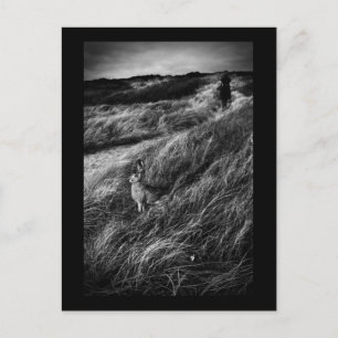 Cartão Postal Arte fotográfica de Le Rendez-vous d'Alice Wonderl