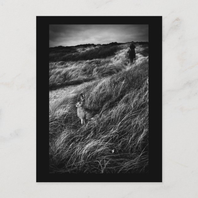 Cartão Postal Arte fotográfica de Le Rendez-vous d'Alice Wonderl (Frente)