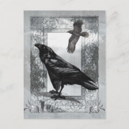 Cartão Postal Arte gótico da fantasia do corvo do Victorian