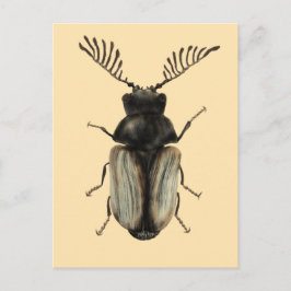 Cartão Postal Arte Insect Lover: Besouro Legal
