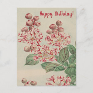 Cartão Postal Arte Japonesa Antiga Flor de Cerejeira Aniversário