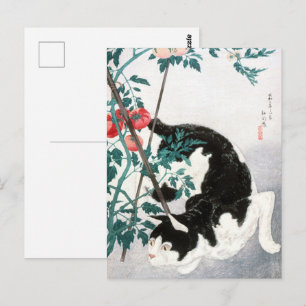 Cartão Postal Arte Japonesa Vintage Gato Preto e Branco Tomate