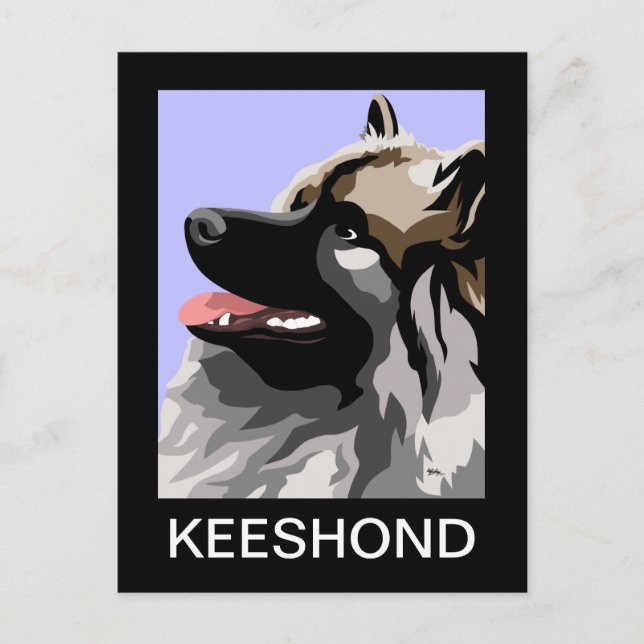 Cartão Postal Arte Keeshond (Frente)