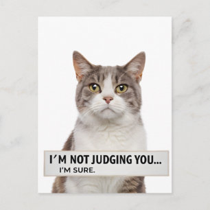 Cartão Postal Arte Minimalista de Citação Sarcástica de Gato Jul