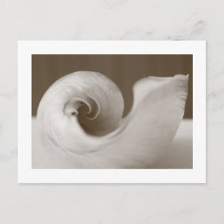 Cartão Postal Arte Moderna