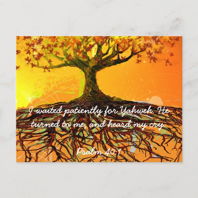 Cartão Postal Arte Original - Afastada Belo Elegante Grungente (Frente)