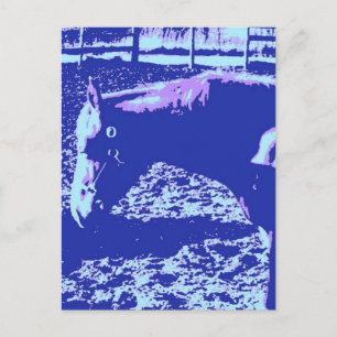Cartão Postal Arte Pop de Cavalo Pastando
