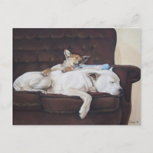 Cartão Postal arte realista do cachorrinho branco-americano
