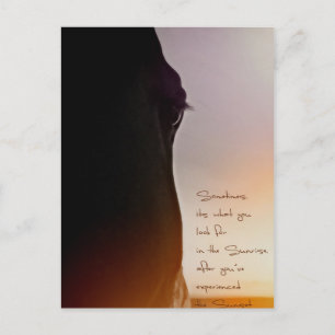 Cartão Postal Arte sobre cavalos e citação inspiradora