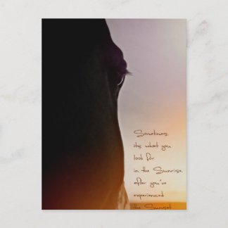 Cartão Postal Arte sobre cavalos e citação inspiradora