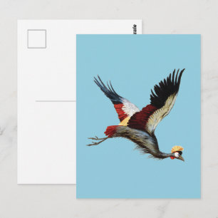 Cartão Postal Arte Vintage da Grua-coroada-da-África-do-Sul em V