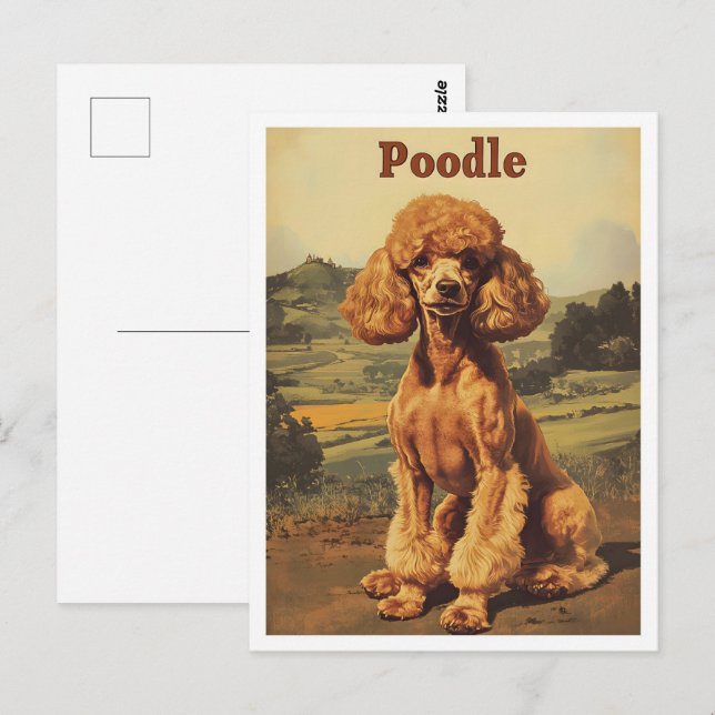 Cartão Postal Arte Vintage de Cachorro Poodle (Frente/Verso)