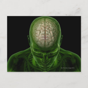 Cartão Postal Artérias Cerebrais