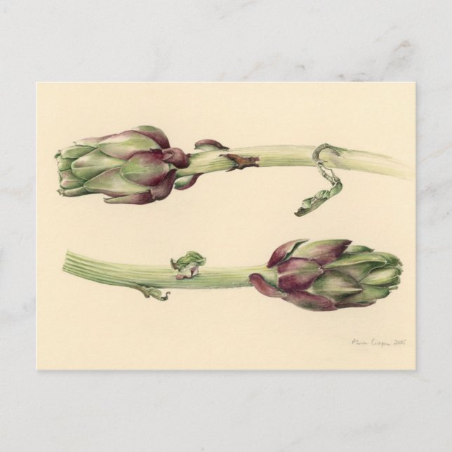 Cartão Postal Artichokes 2005 (Frente)