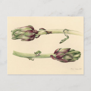 Cartão Postal Artichokes 2005