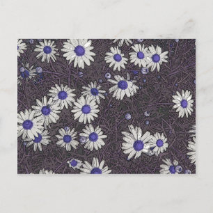 Cartão Postal Artsy Daisies