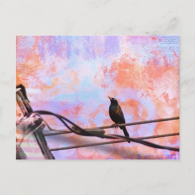 Cartão Postal Artsy Grackle (Frente)