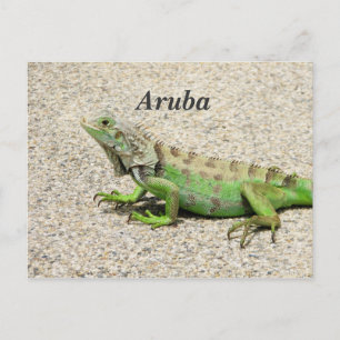 Cartão Postal Aruba Green Iguana