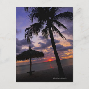 Cartão Postal Aruba, silhueta de palmeiras e palapa sobre