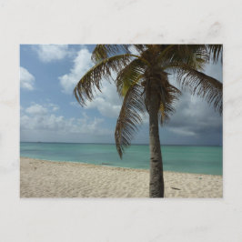 Cartão Postal Aruban Beach I Linda cena natural