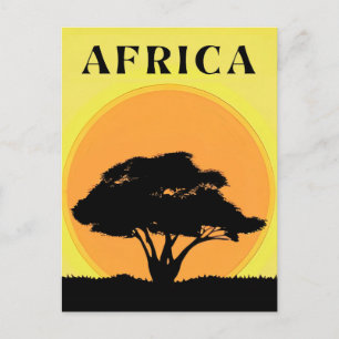 Cartão Postal Árvore Acacia Africana contra um pôr do sol laranj