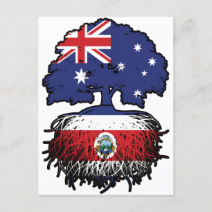 Cartão Postal Árvore Australiana da Costa Rica
