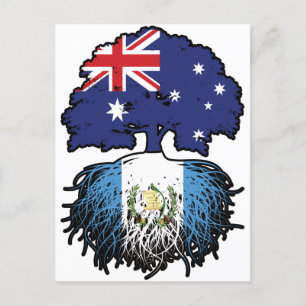 Cartão Postal Árvore australiana guatemalteca australiana