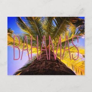 Cartão Postal Árvore Bahamiana