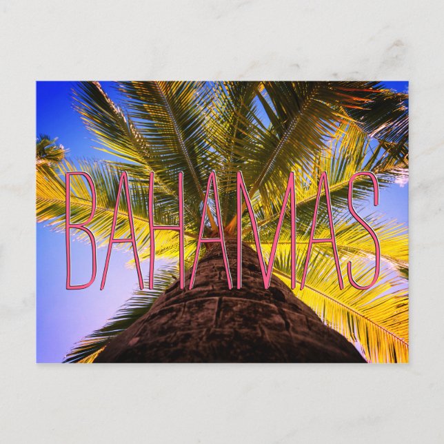 Cartão Postal Árvore Bahamiana (Frente)