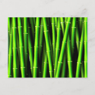 Cartão Postal Árvore bambu padrão natural hipster trendy chi