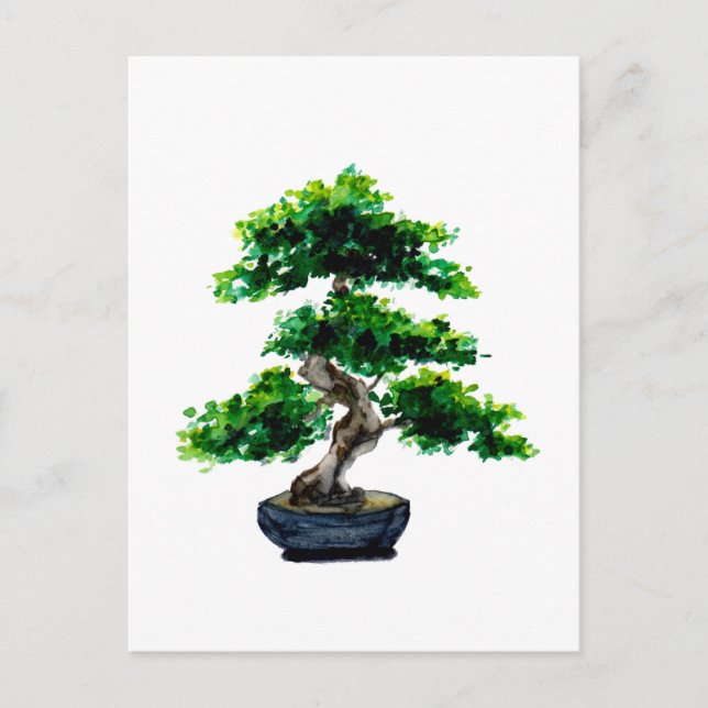 Cartão Postal Árvore Bonsai Japonês (Frente)