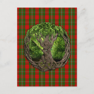 Cartão Postal Árvore Celta Da Vida E Clã MacGregor Tartan