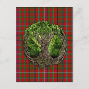 Cartão Postal Árvore Celta Da Vida E Clã Sinclair Tartan