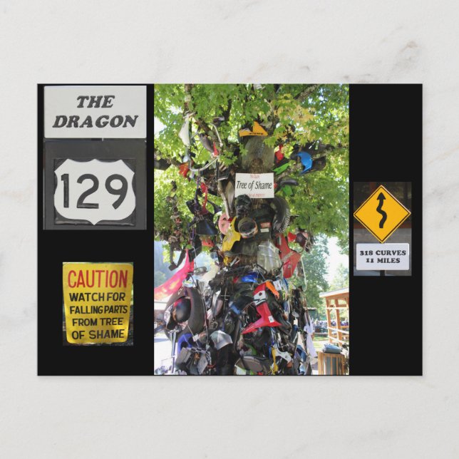 Cartão Postal Árvore da Vergonha (Frente)