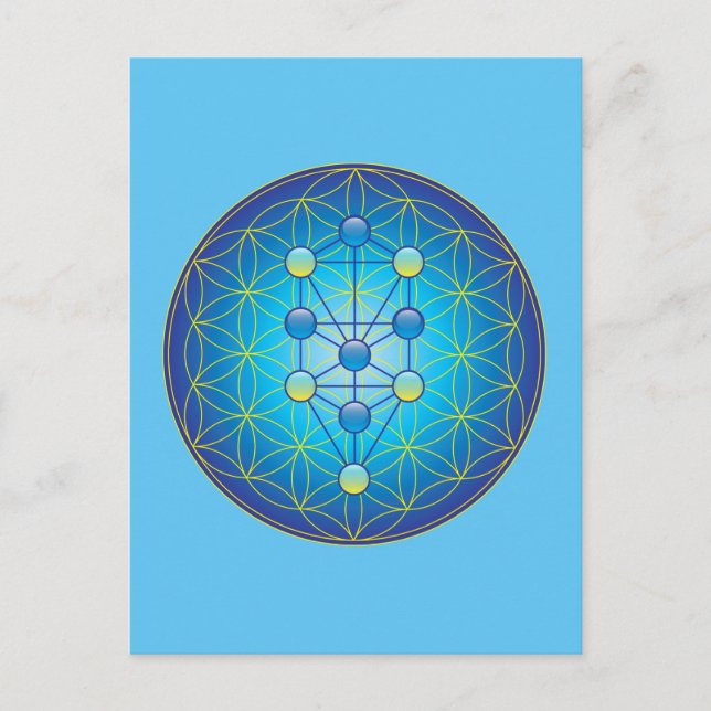 Cartão Postal Árvore Da Vida (Frente)