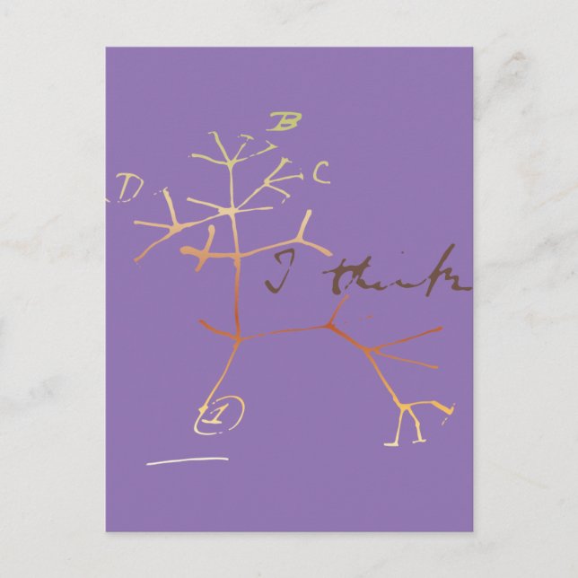 Cartão Postal Árvore da vida de Darwin: Acho (Frente)