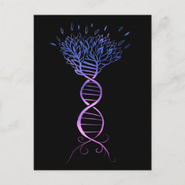 Cartão Postal Árvore da Vida DNA Strand Genealogia Árvore