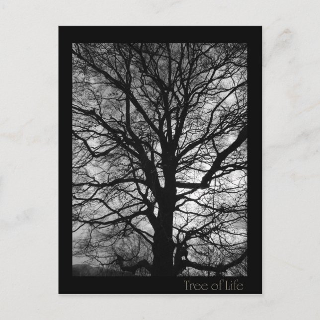 Cartão Postal Árvore da Vida - Lebensbaum - Baum des Lebens (Frente)
