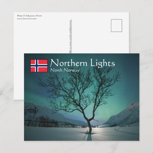 Cartão Postal Árvore das luzes do norte (Frente/Verso)